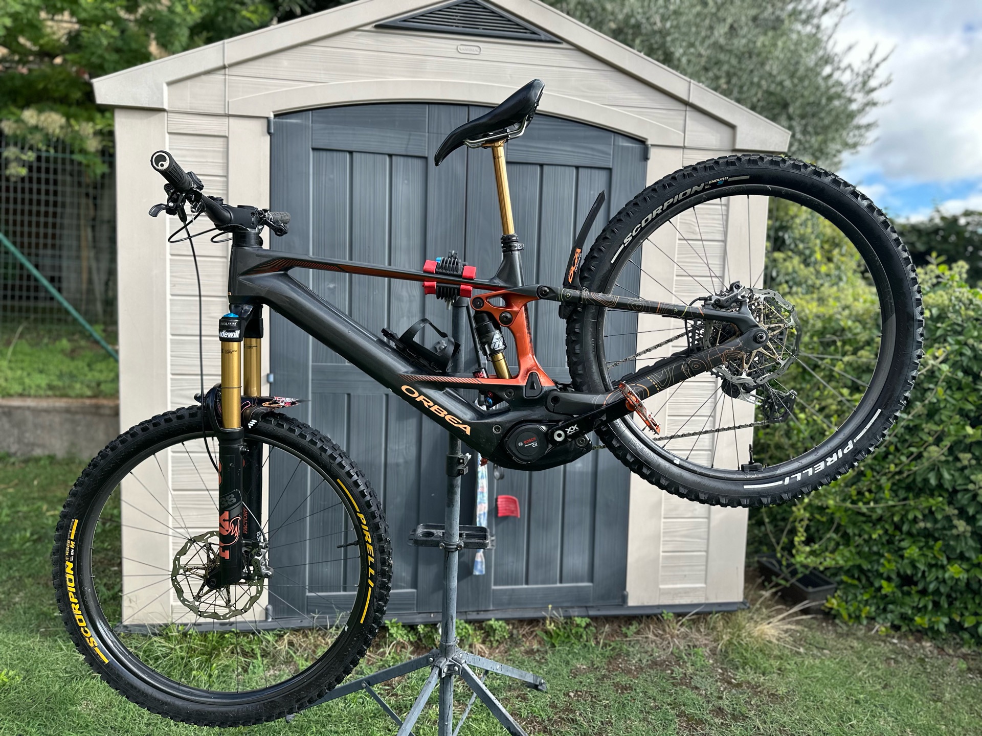 Orbea Wild M-LTD 2025 2025