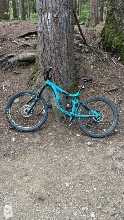 Giant Reign 1 2017