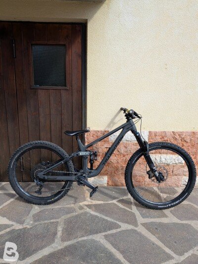 Transition Patrol GX Alloy Fox 2023