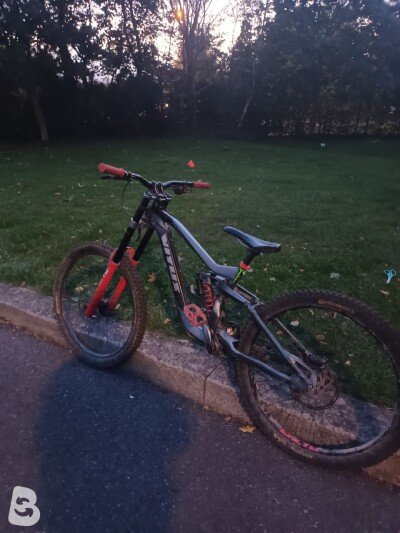Vitus Dominer 2020