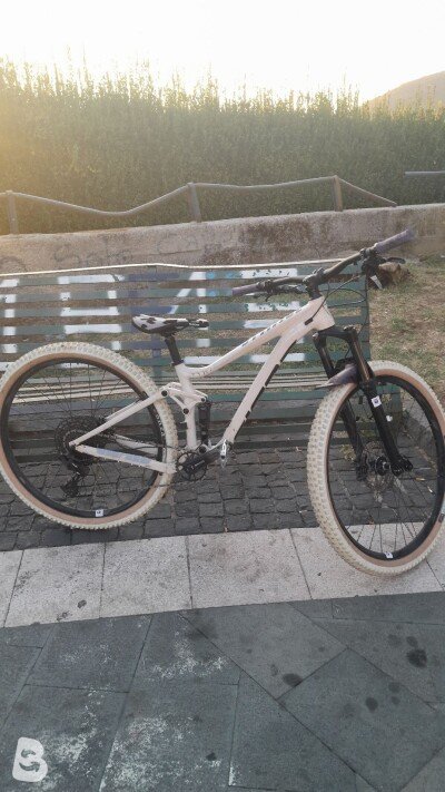 Giant Stance 1 2021