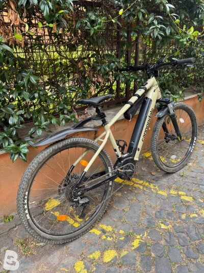 Cannondale Trail Neo 4 2024