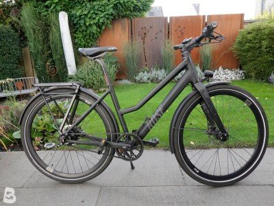 Rose Black Lava 3 2021