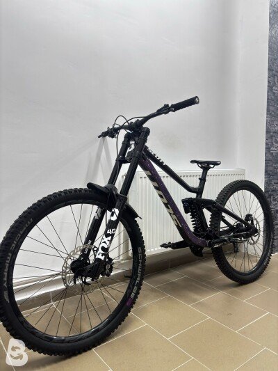Scott Gambler 910 2022