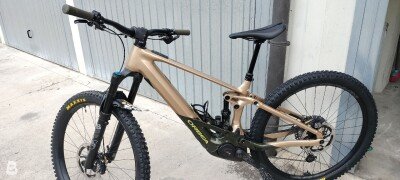 Orbea Wild 2023