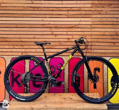 Ritchey P29 2021