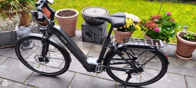 Kettler QUADRIGA P5 HD BENELUX BELT RT 2023