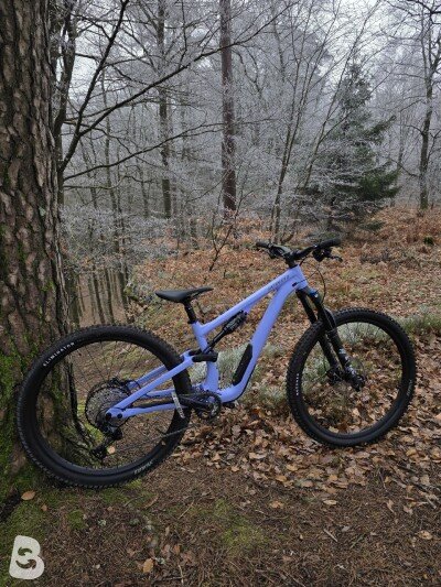 Specialized Stumpjumper 15 AL 2025