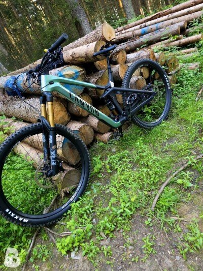 Canyon Strive CFR 2024