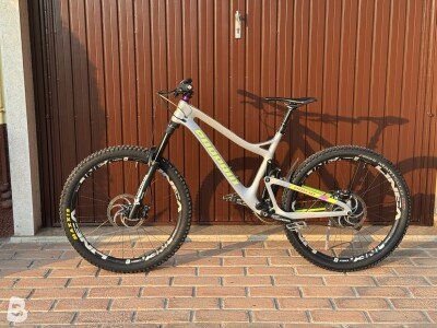 Propain Tyee Pro 10 2019