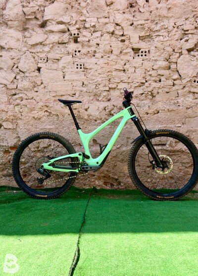Bold Unplugged Pro TR 2024