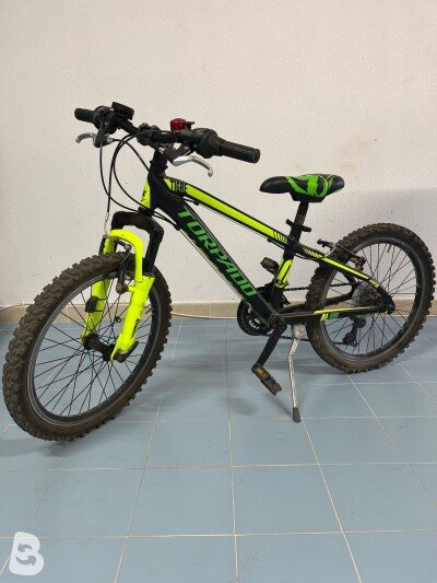 Torpado Tigre 2019