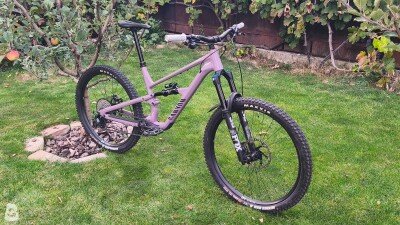 Canyon Spectral Al 6 2025