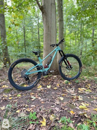 Forbidden Druid X0 RS U 29 2024
