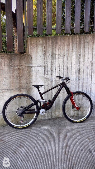 Specialized Enduro custom 2022