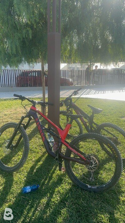 Canyon Spectral CF 7.0 2019