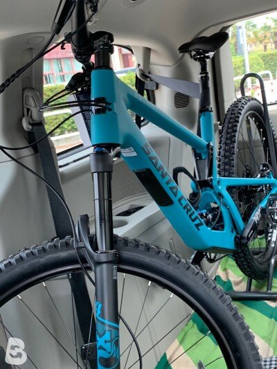 Santa Cruz 5010 CR Loosely Blue 27 LG 2021