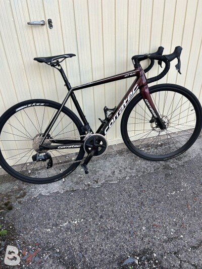 Corratec CCT EVO Factory 2024