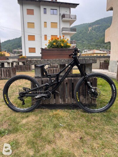 Santa Cruz v10.8 2025