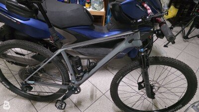 Scott L 2025