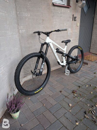 Canyon Torque DH CLLCTV 2023
