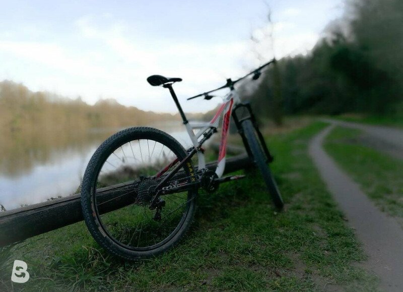 2014 specialized stumpjumper comp carbon online