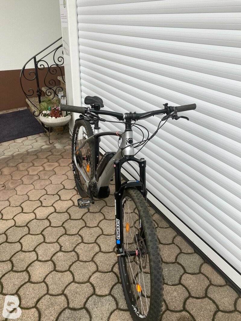 Bärenbike BC900 2019