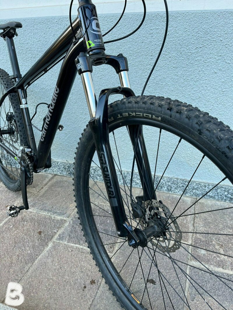 Cannondale trail best sale 8 2021