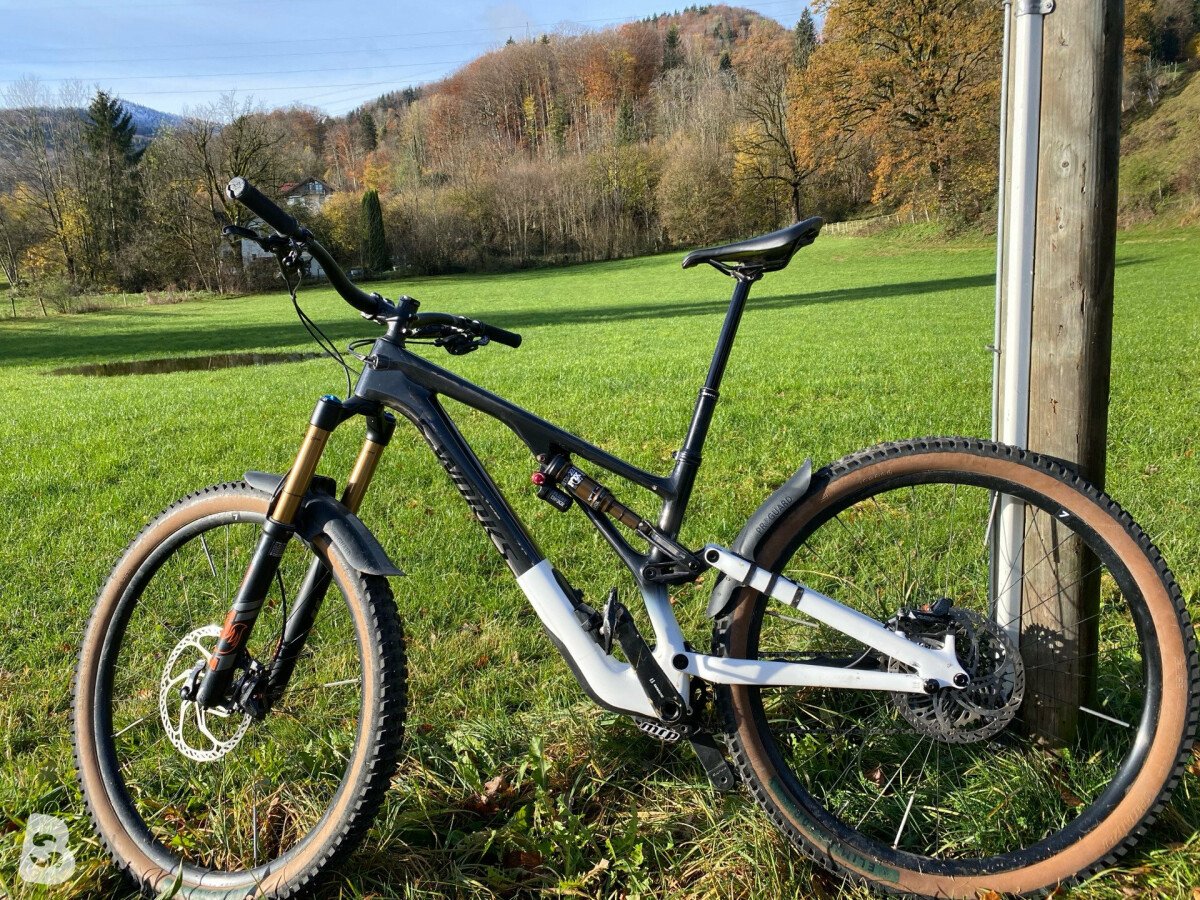 2021 stumpjumper evo online frame