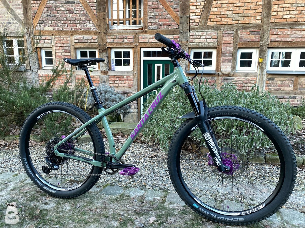 Santa cruz chameleon for sale online used