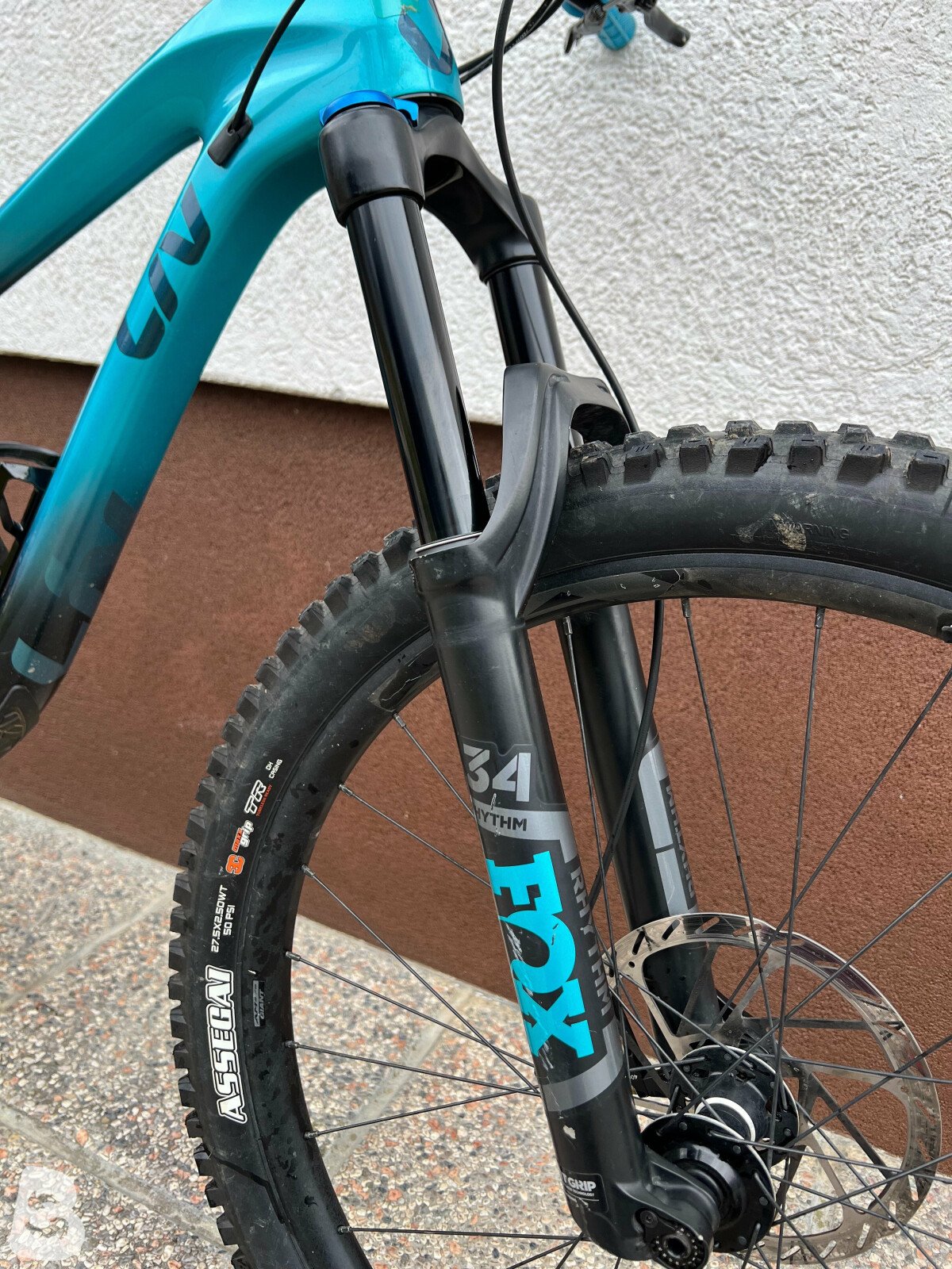 liv intrigue advanced 2 2019