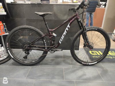 Giant stance 1 29er hot sale 2021