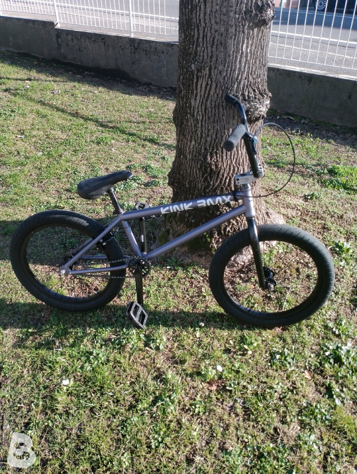 Avigo 2025 raw bike