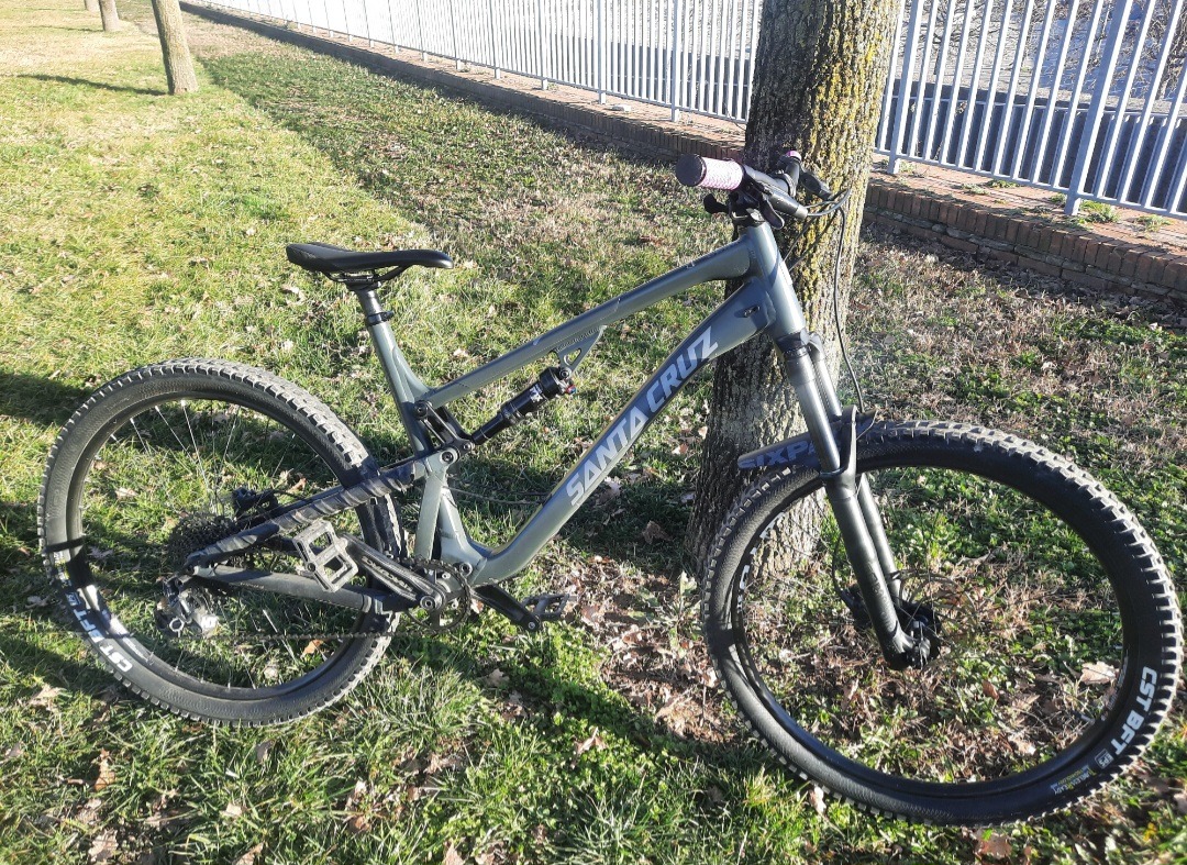 Santa cruz 5010 online d