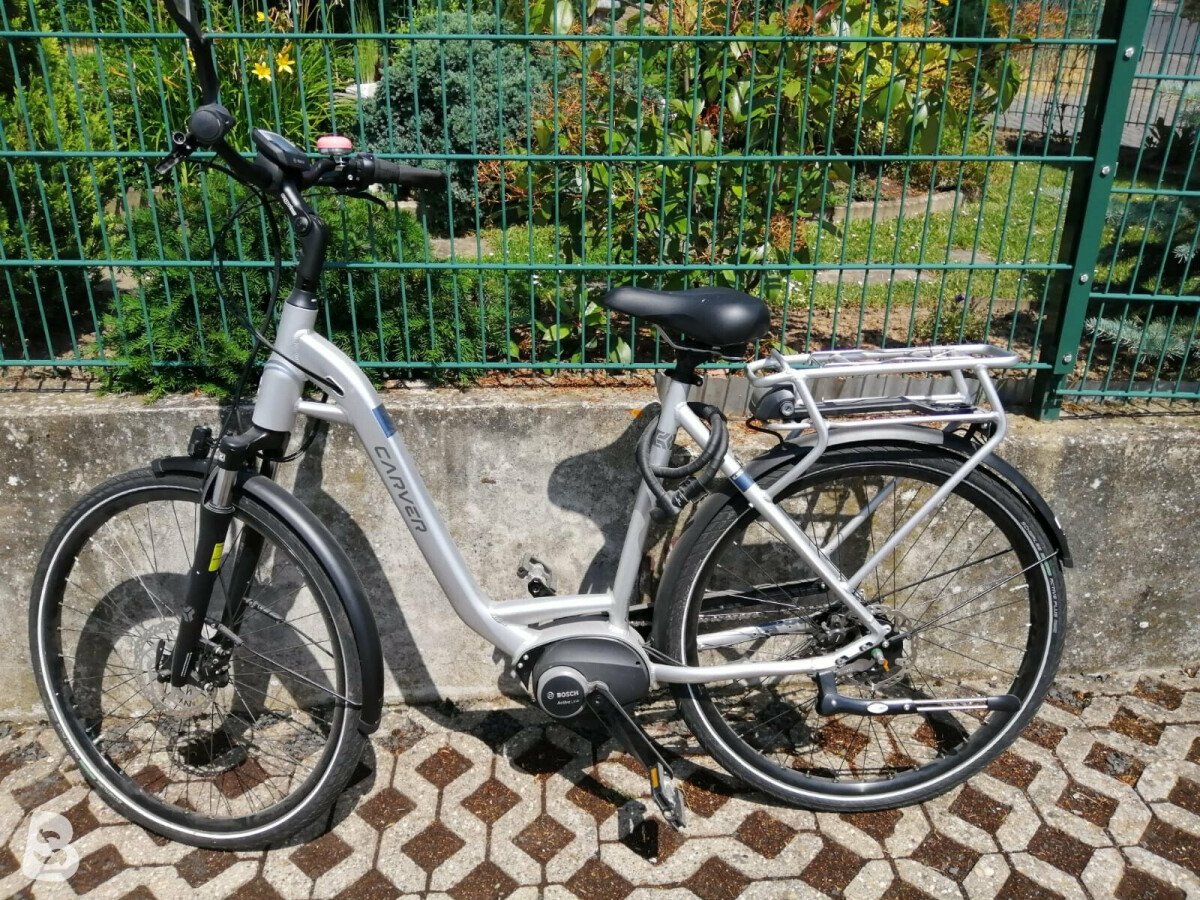 Carver Cityzen E. 310 RT 2019 used