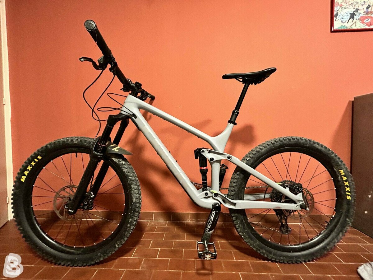 Trek remedy hot sale 9.8 2019