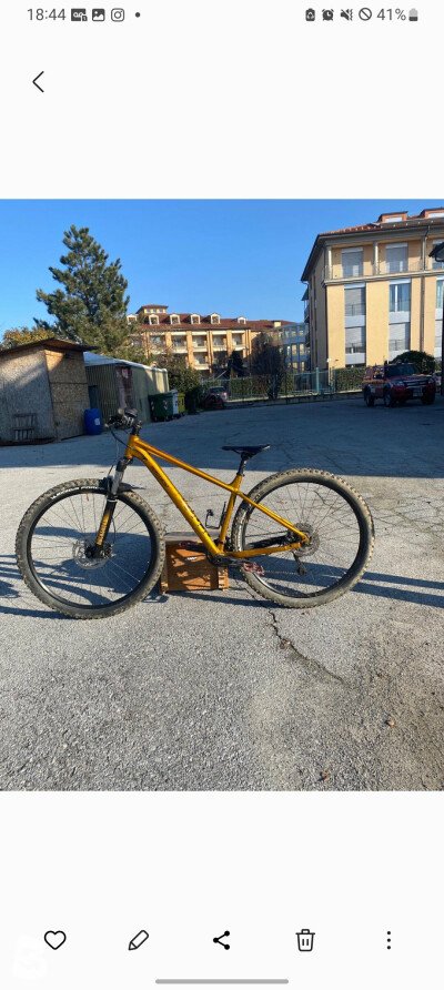 Bergamont Revox 6 2020