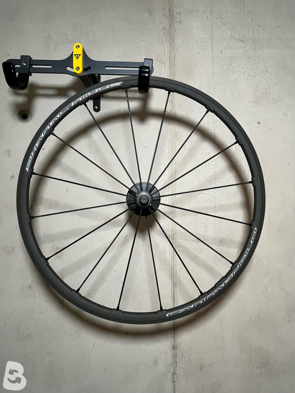 Campagnolo Shamal Mille C17 Wheelset Excel Sports | Shop
