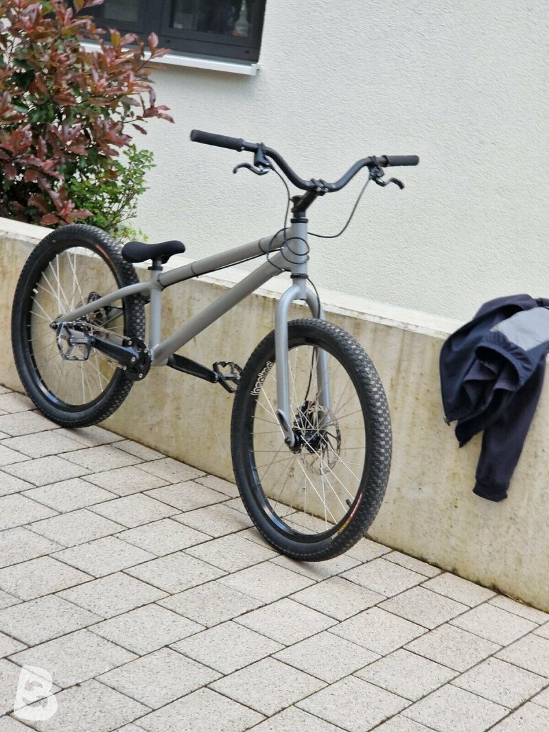 onza zootストリートトライアル Onza Zoot 24 | Observed Trials