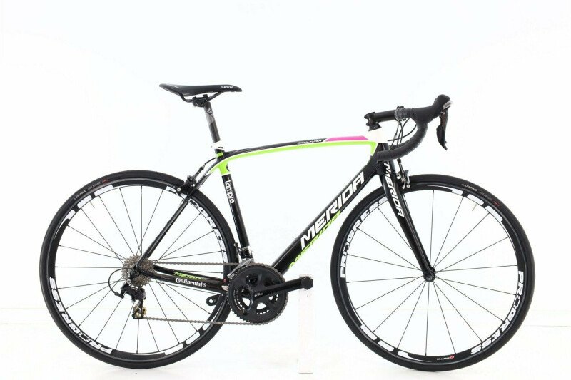 merida-scultura-905-