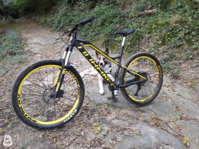 Mondraker orders vantage rr frame