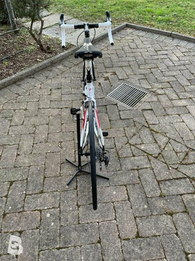 Pinarello Fp2 2010 used Pinarello Fp2 2010 used