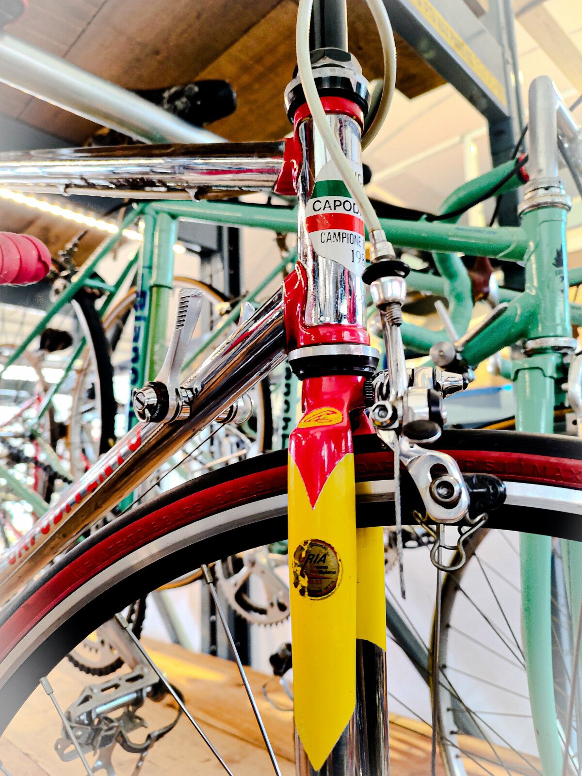 Wilier SLR 2023 used