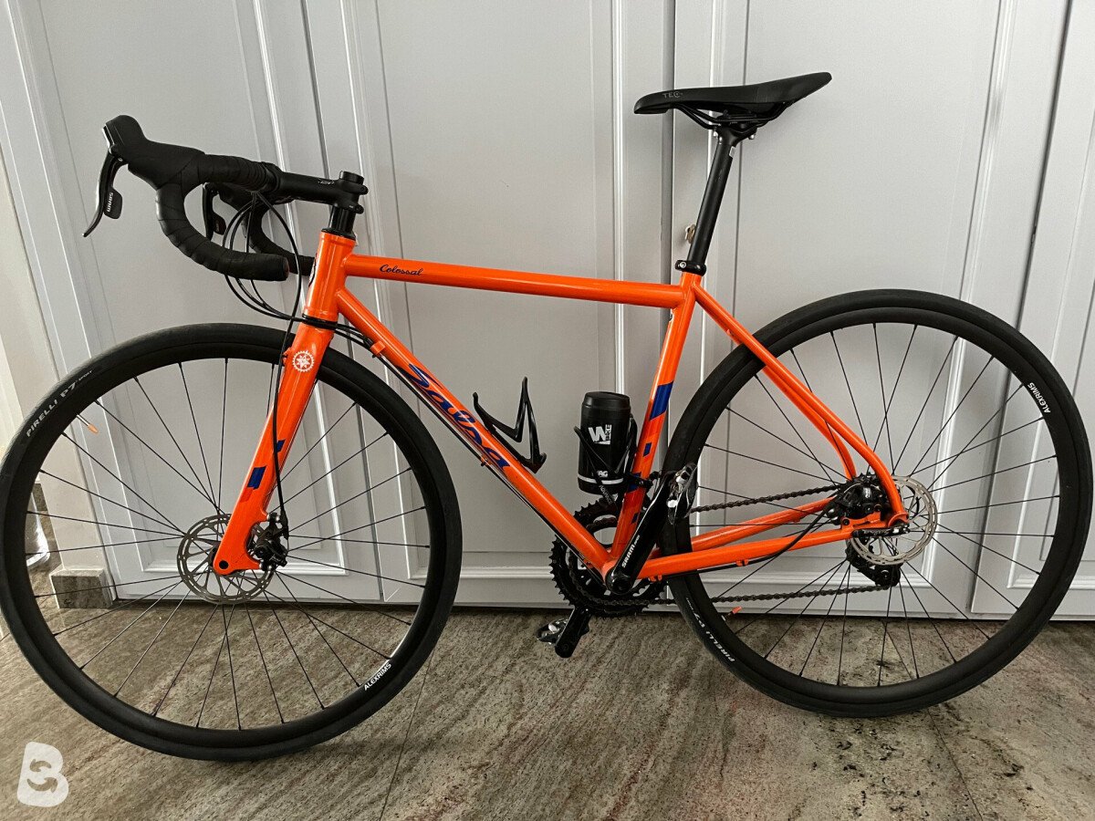 Salsa Colossal 2020 gebraucht kaufen