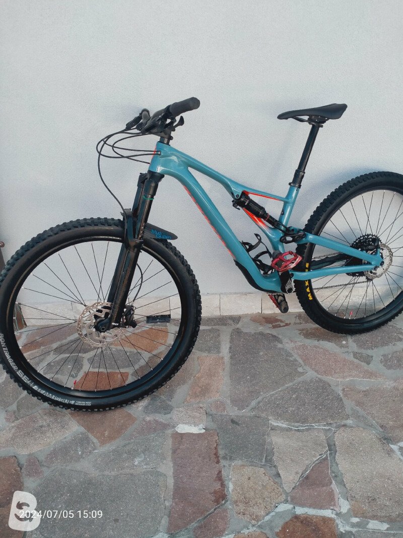 Stumpjumper fashion expert carbon 29 2019