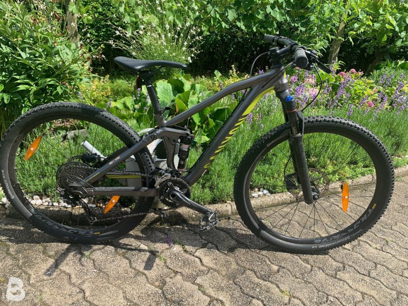 IMG_6302-1___optimized-bike-ad