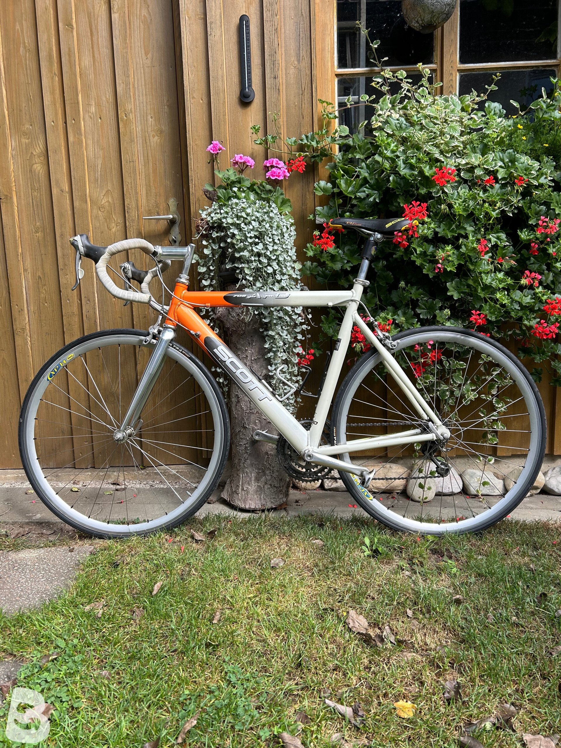 IMG_0766___optimized-bike-ad-