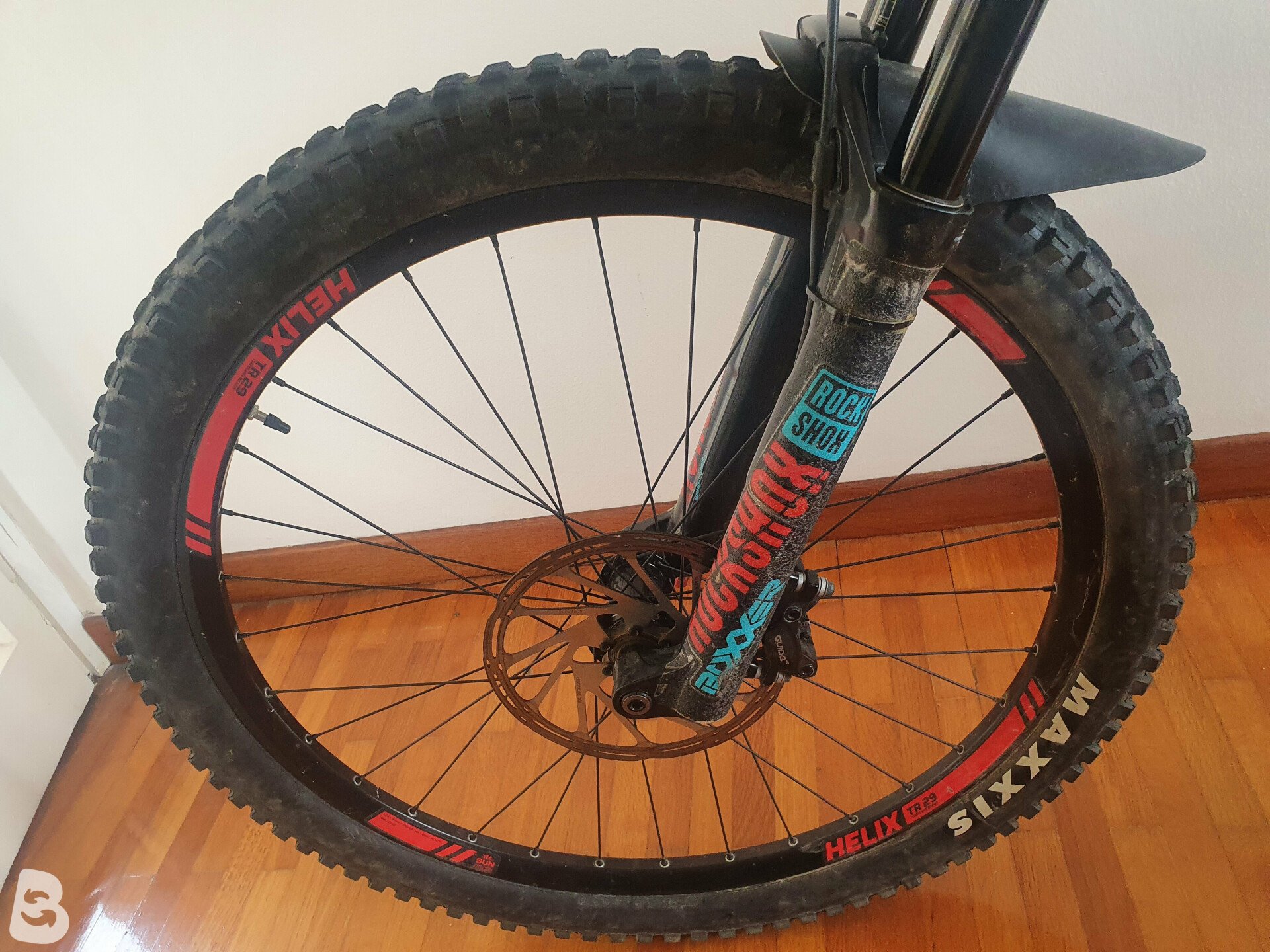 Rocky mountain maiden discount carbon