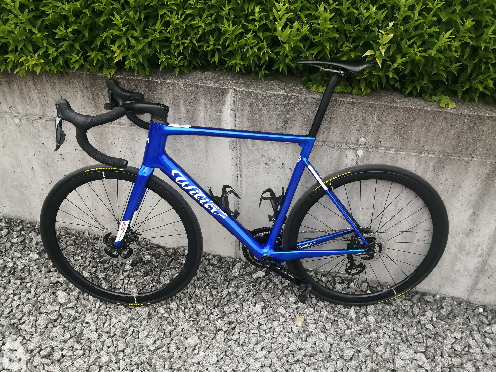 Wilier zero slr online blue