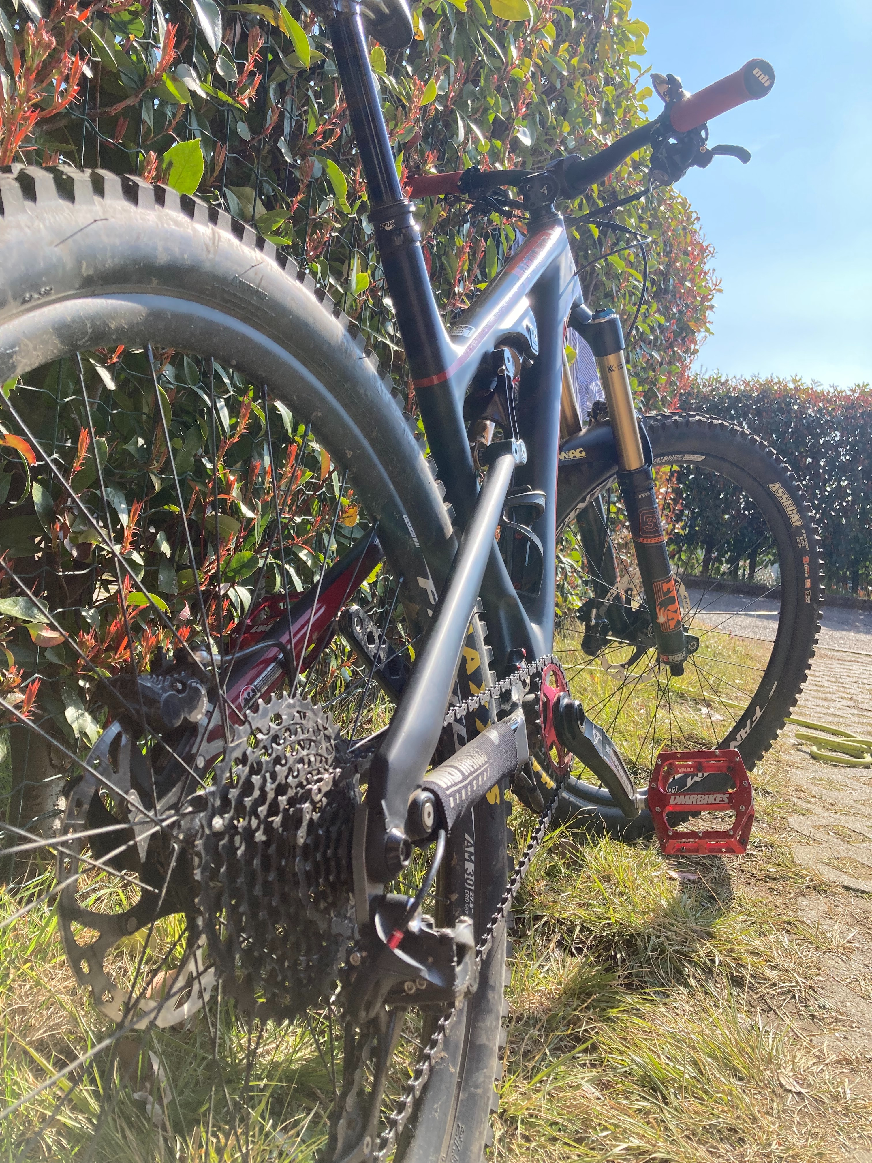 Rocky Mountain Altitude 770 msl 2016 used